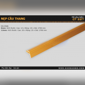 Nẹp nhựa cầu thang CT-227