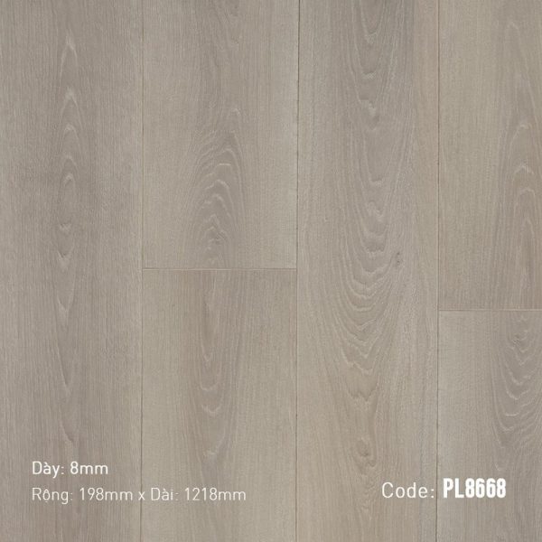 Sàn Gỗ Dream Prolux PL8668