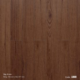 Sàn Gỗ Dream Lucky L8669 – ảnh trực diện mặt ván